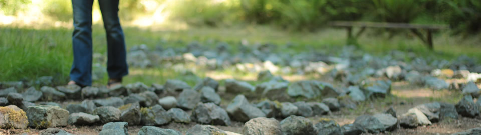 feature-labyrinth270