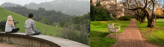 pagebanner-sitting-path