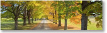 Fall 2008
