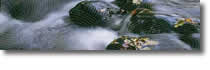 Fall Winter enewsletter