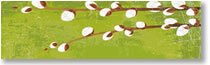 Spring 2009 eNewsletter
