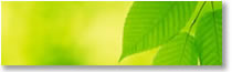 Spring 2011 ACMHE newsletter