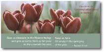 spring 2004 e-news