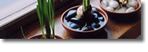 Spring 2006 e-Newsletter