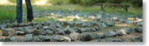 Summer 2011 ACMHE newsletter