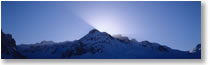 Winter SJP enewsletter