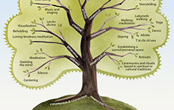 Contemplative Practices