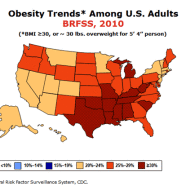 True to Vision: A Response to Daniel Callahan’s “Obesity: Chasing an Elusive Epidemic”